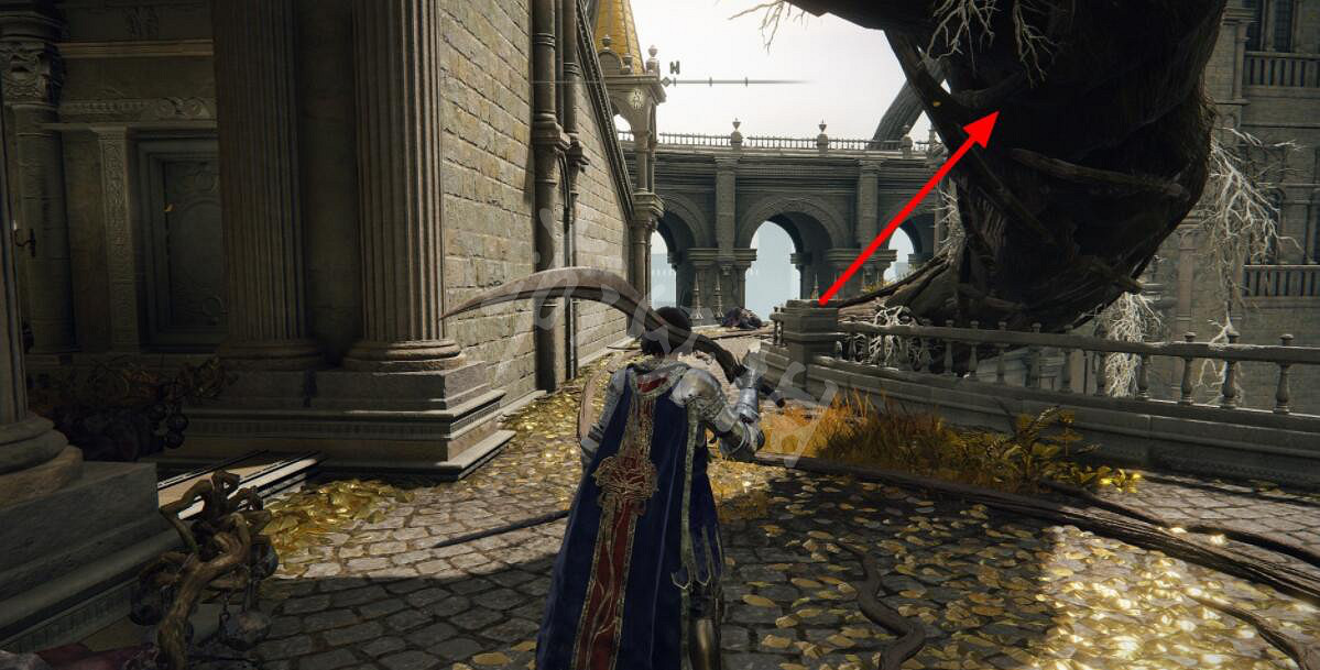 《艾爾登法環》黃金樹弓在哪裡拿？黃金樹弓寶箱位置分享