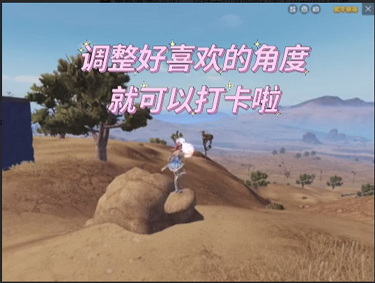 《和平精英》小烏龜打卡點位置 小烏龜打卡點在哪 《和平精英》小烏龜打卡點位置 小烏龜打卡點在哪