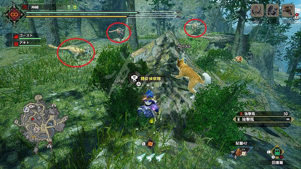 《魔物獵人崛起》隨從探險隊在哪?曙光隨從探險隊位置介紹 《魔物獵人崛起》隨從探險隊在哪?曙光隨從探險隊位置介紹