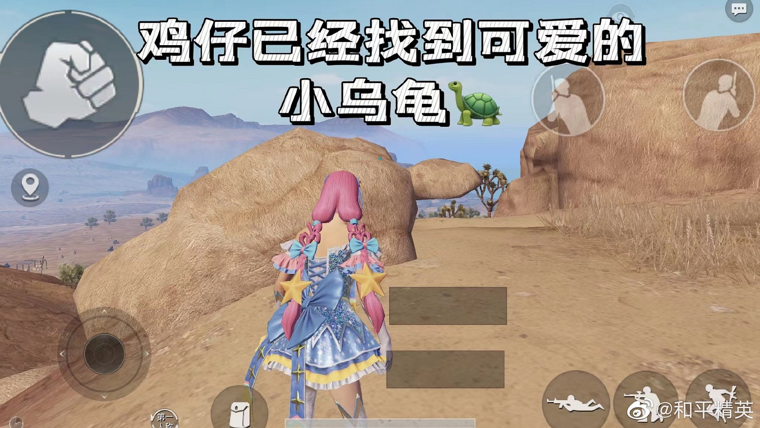 《和平精英》小烏龜打卡點位置 小烏龜打卡點在哪 《和平精英》小烏龜打卡點位置 小烏龜打卡點在哪