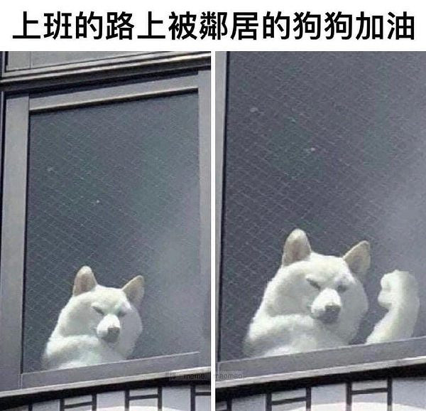 吃過最大的苦就是上班 囧圖 麻藥發明之前是怎樣麻醉的 吃過最大的苦就是上班 囧圖 麻藥發明之前是怎樣麻醉的