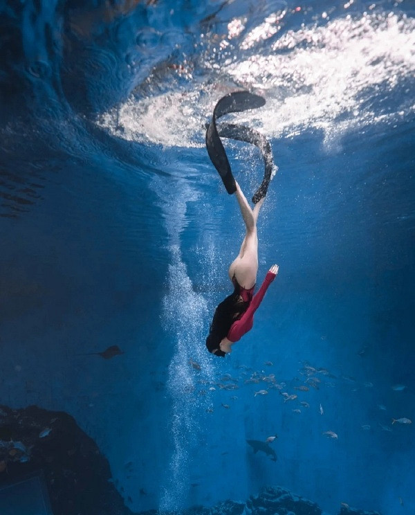 吃過最大的苦就是上班 囧圖 麻藥發明之前是怎樣麻醉的 吃過最大的苦就是上班 囧圖 麻藥發明之前是怎樣麻醉的