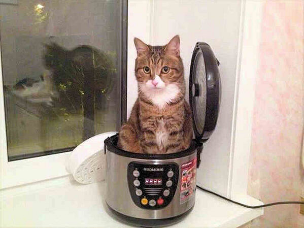 吃過最大的苦就是上班 囧圖 麻藥發明之前是怎樣麻醉的 吃過最大的苦就是上班 囧圖 麻藥發明之前是怎樣麻醉的