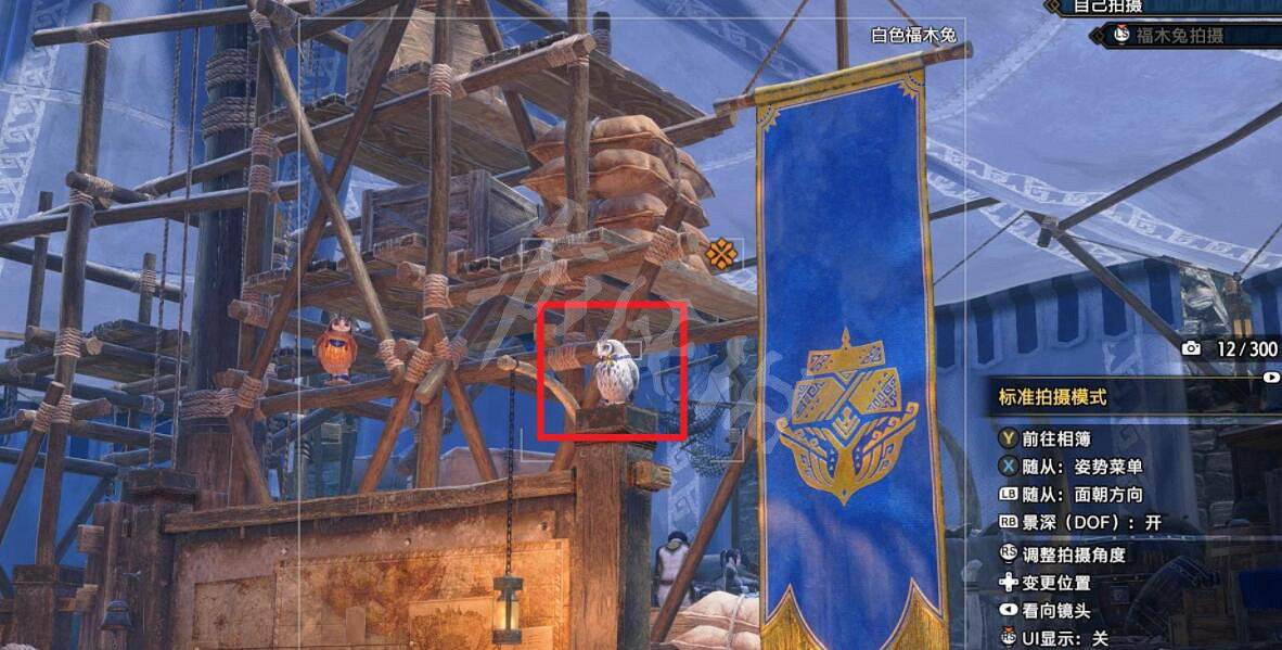 《魔物獵人崛起》曙光福木兔拍照任務怎麽做？曙光福木兔窩位置分享