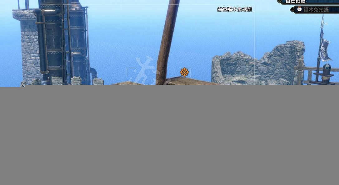 《魔物獵人崛起》曙光福木兔拍照任務怎麽做？曙光福木兔窩位置分享