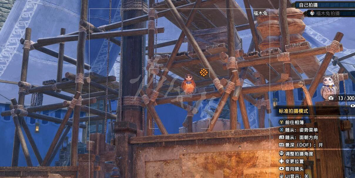 《魔物獵人崛起》曙光福木兔拍照任務怎麽做？曙光福木兔窩位置分享