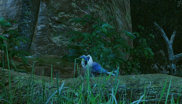 《魔物獵人崛起》福運令鴉有什麽用？曙光令鴉的作用介紹