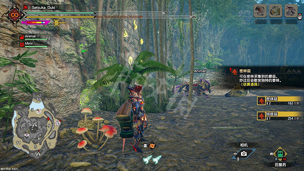 《魔物獵人崛起》特級菇在哪挖?曙光特級菇位置介紹 《魔物獵人崛起》特級菇在哪挖?曙光特級菇位置介紹