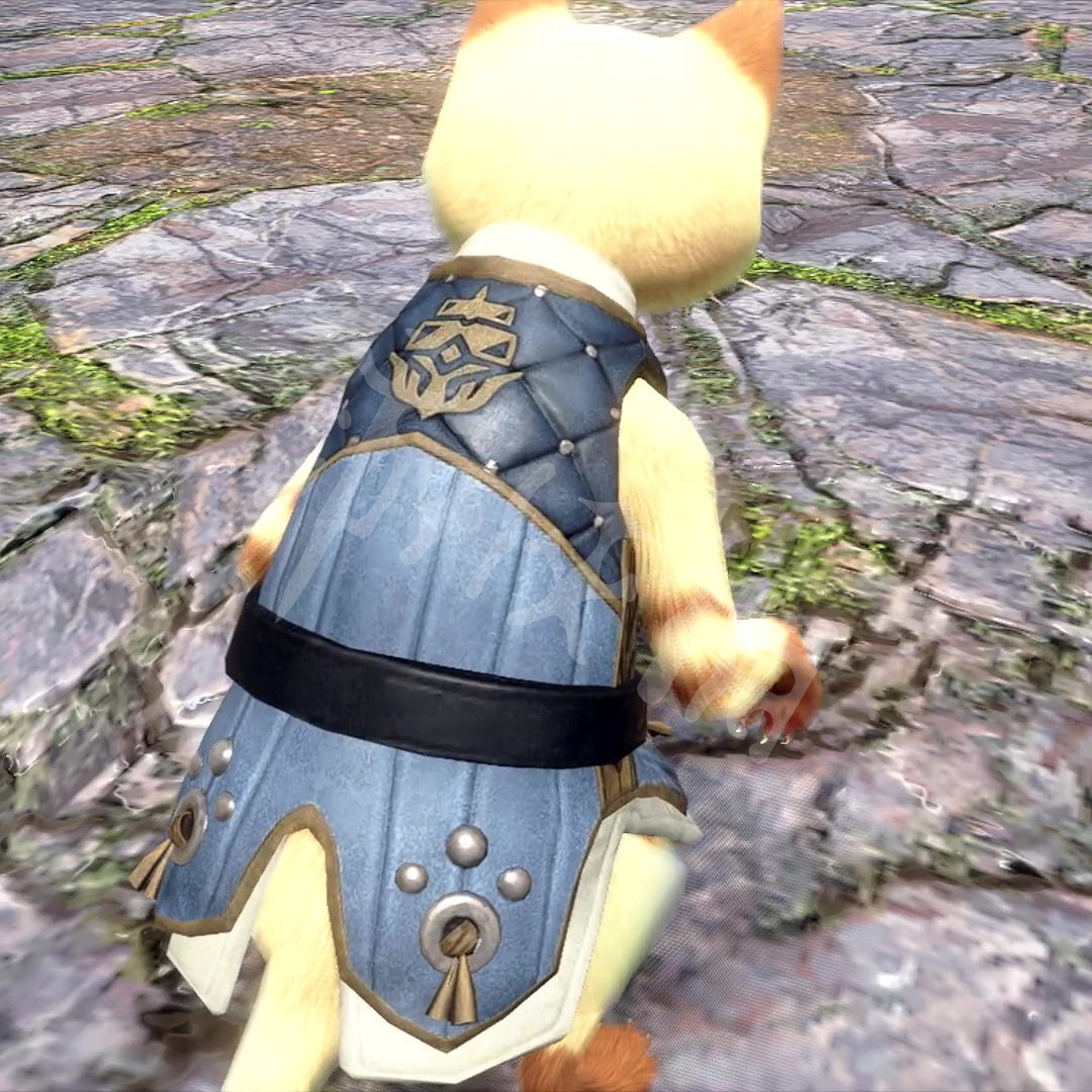 《魔物獵人崛起》有什麽追加內容嗎?曙光埃爾迦德系列貓犬外觀介紹 《魔物獵人崛起》有什麽追加內容嗎?曙光埃爾迦德系列貓犬外觀介紹