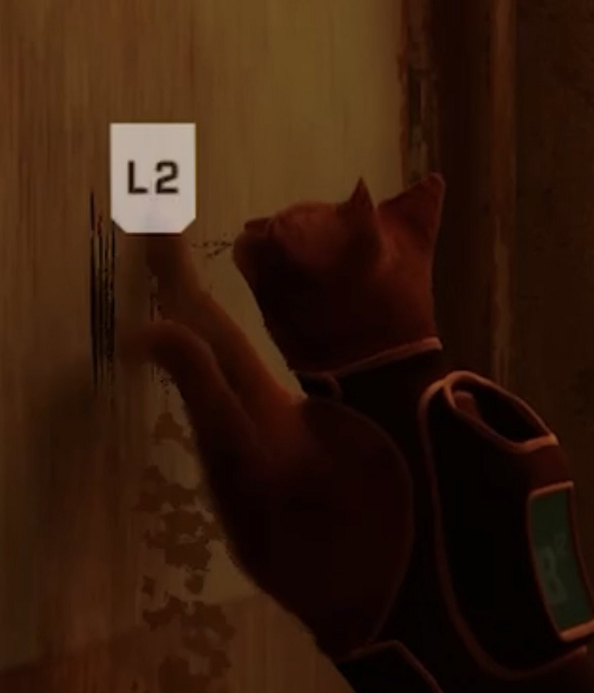 貓貓為啥愛抓牆？《迷失》讓你親自體驗抓牆的樂趣！