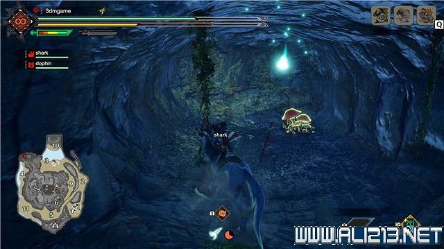 《魔物獵人崛起》曙光密林手記全收集攻略 曙光密林手記在哪？