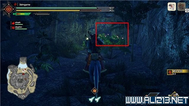 《魔物獵人崛起》曙光密林手記全收集攻略 曙光密林手記在哪？