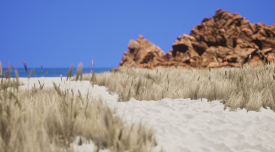 虛幻5造絕美風景遊戲《模擬美景攝影》2023年初發售