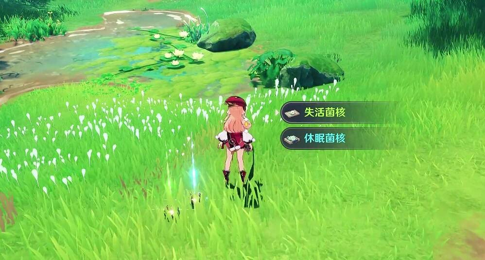 《原神》草元素反應有什麽？草元素反應效果解析