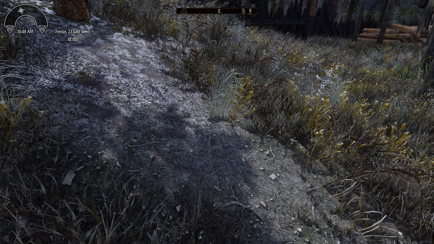 《上古卷軸V：無界天際重製版》高清材質包 所有地貌大修