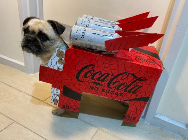 喜迎Bungie日,《天命2》與你相約深空共敘浪漫情懷 喜迎Bungie日,《天命2》與你相約深空共敘浪漫情懷