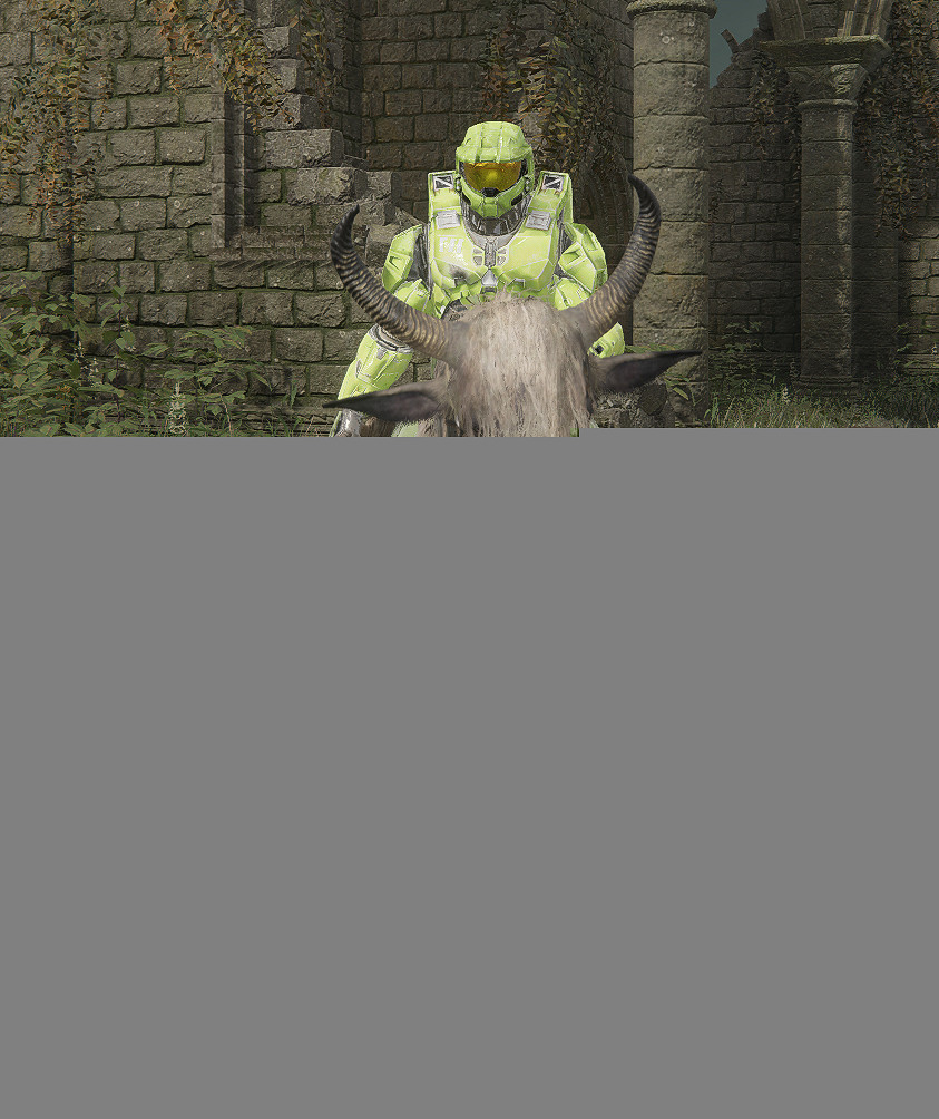 時代變了褪色者!《艾爾登法環》士官長持槍Mod 時代變了褪色者!《艾爾登法環》士官長持槍Mod