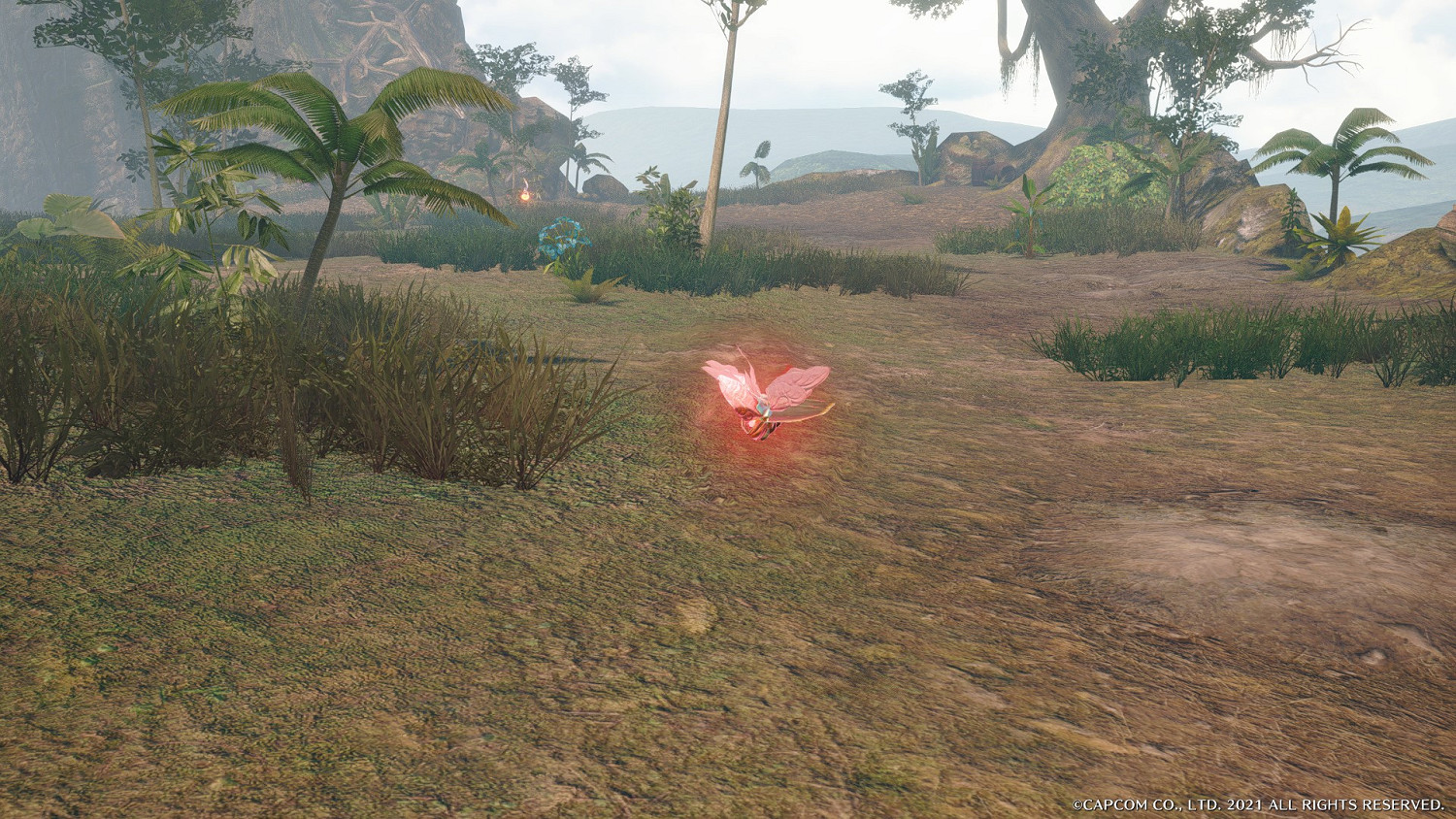 《魔物獵人崛起》曙光變幻翔蟲怎麽用?勾玉草盆栽成就心得 《魔物獵人崛起》曙光變幻翔蟲怎麽用?勾玉草盆栽成就心得